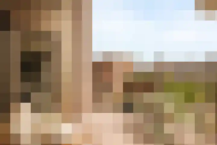 Haparandadam 2 A 2 Amsterdam thumbnail 4
