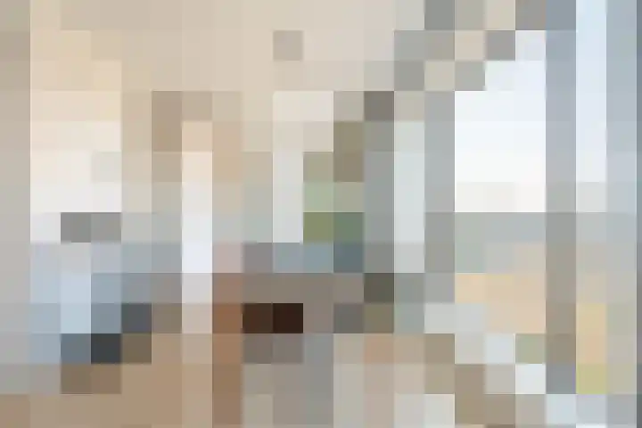 Haparandadam 2 A 6 Amsterdam thumbnail 10
