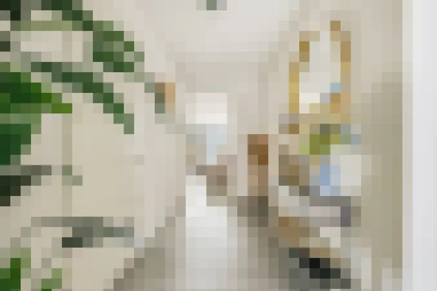 Haparandadam 2 B 5 Amsterdam thumbnail 8