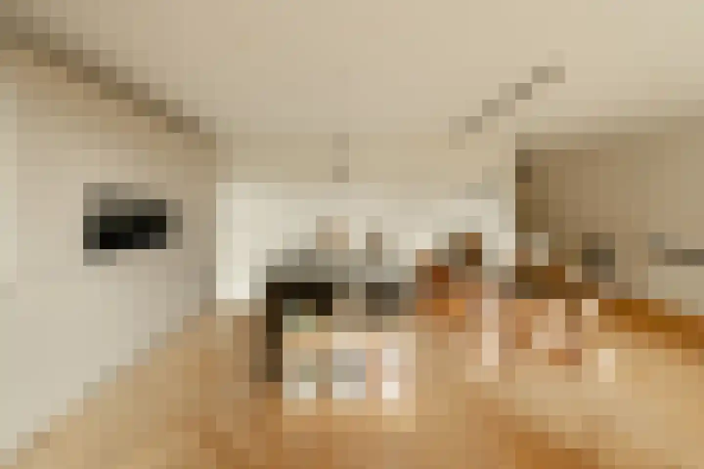 Haparandadam 2 E 3 Amsterdam thumbnail 13