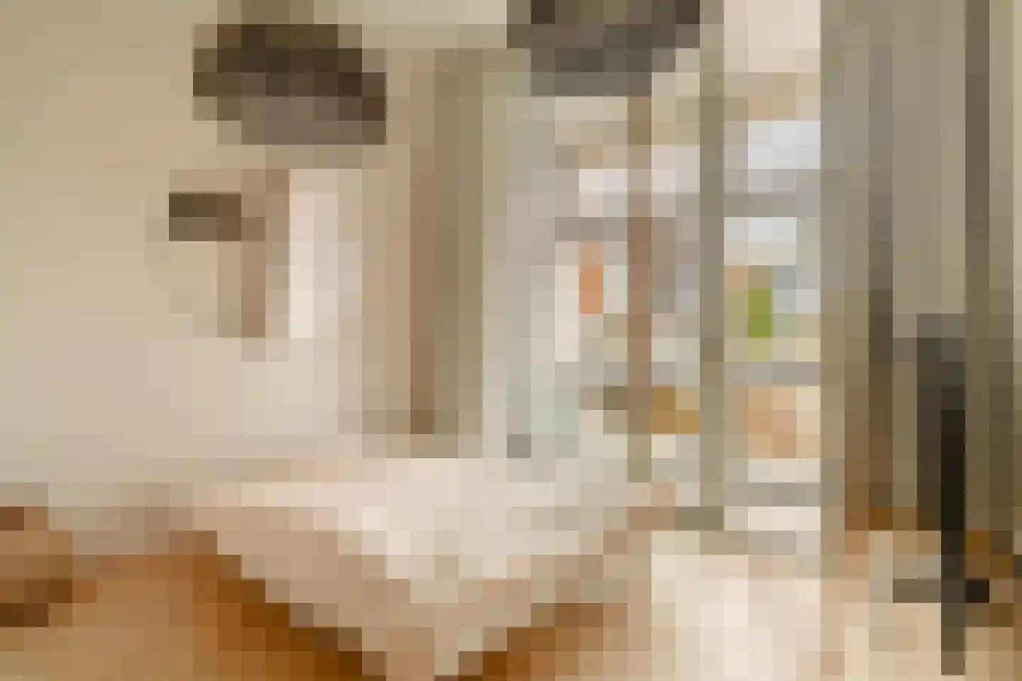 Haparandadam 2 E 3 Amsterdam thumbnail 29