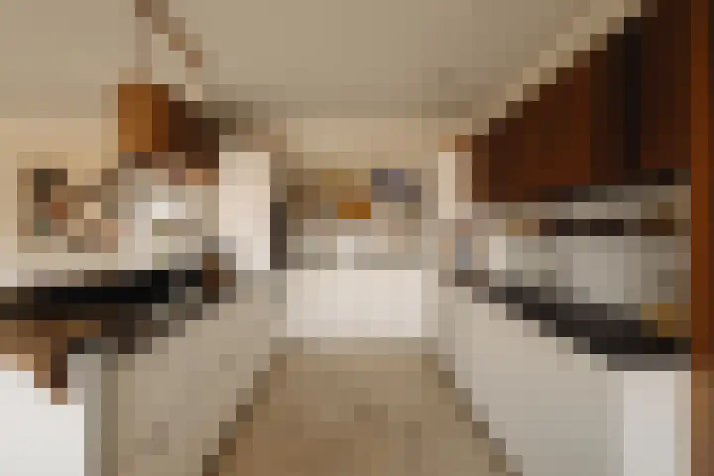 Haparandadam 2 F 1 Amsterdam thumbnail 11