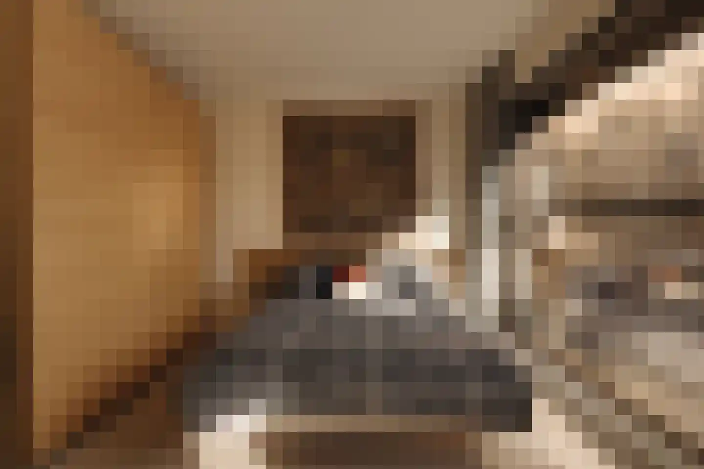 Haparandadam 2 F 1 Amsterdam thumbnail 15