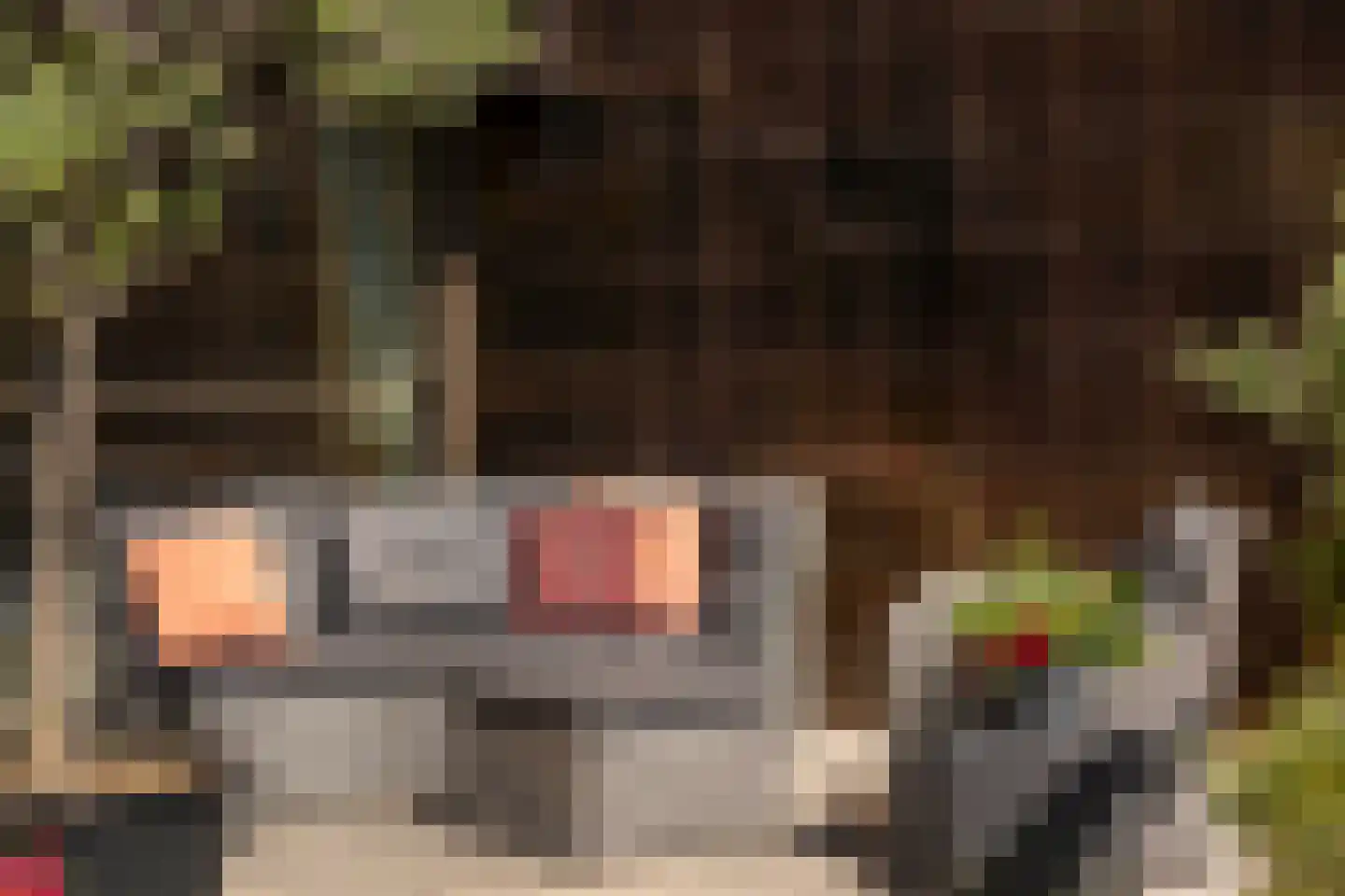 Haparandadam 2 F 1 Amsterdam thumbnail 17