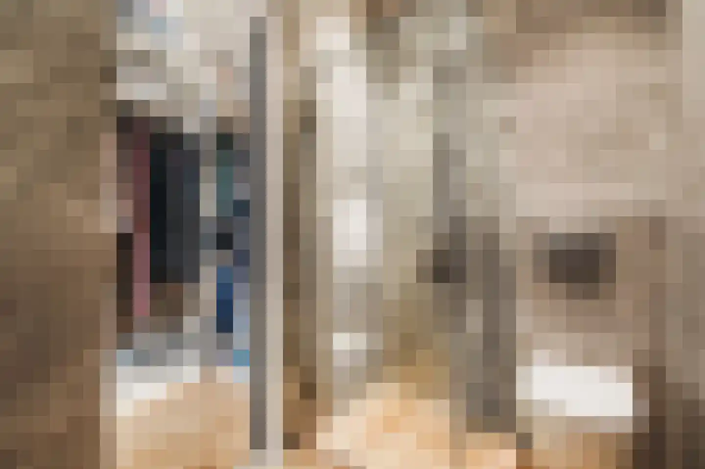 Haparandadam 2 F 2 Amsterdam thumbnail 23