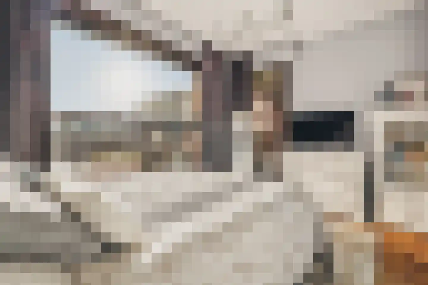 Haparandadam 2 F 2 Amsterdam thumbnail 24