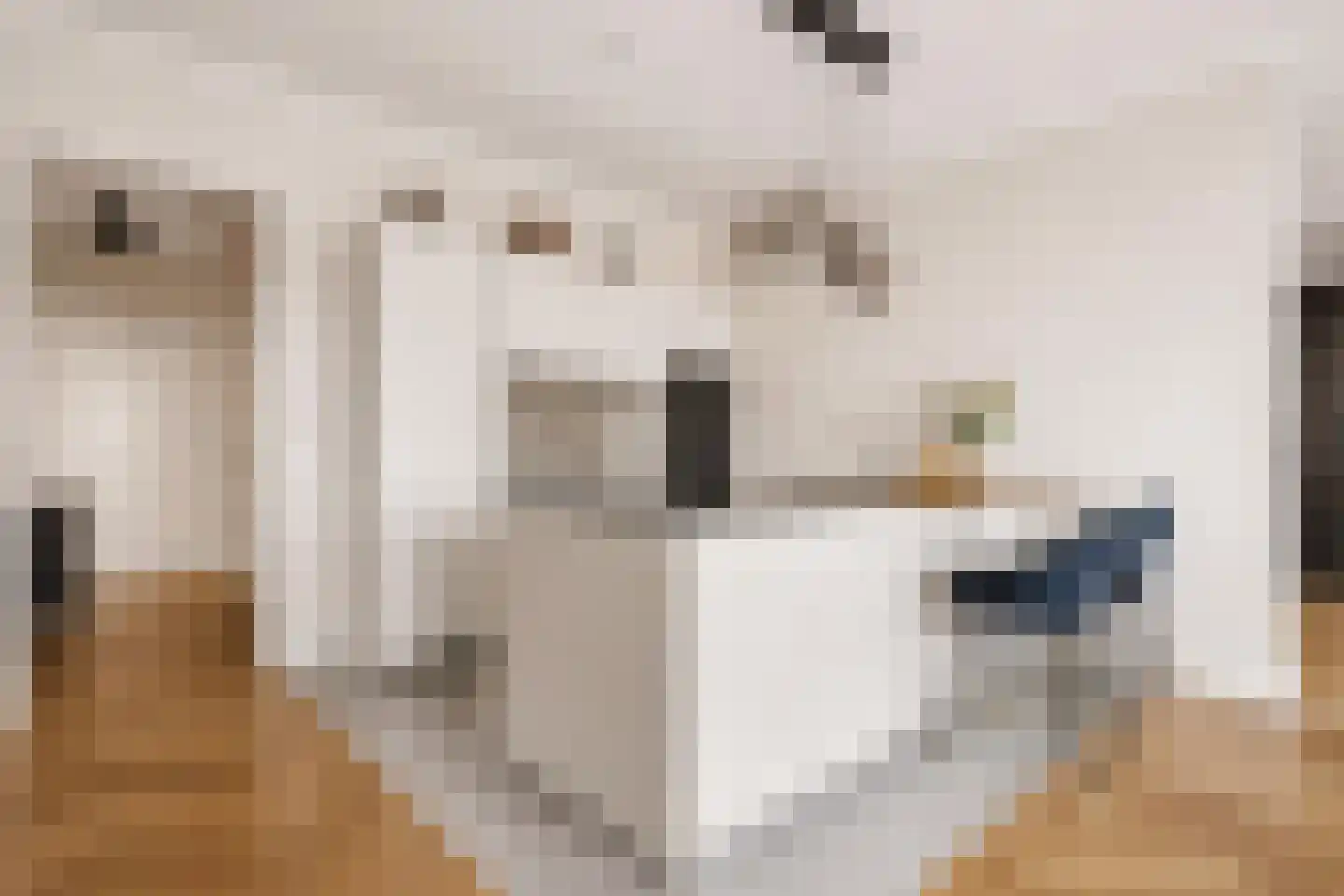 Haparandadam 2 F 2 Amsterdam thumbnail 4
