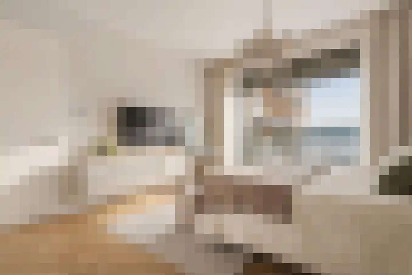 Haparandadam 2 F 2 Amsterdam thumbnail 7