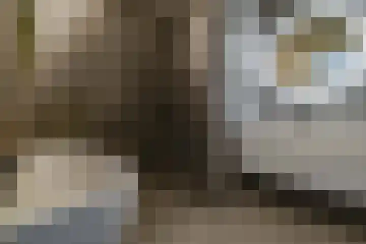 Haparandadam 2 F 3 Amsterdam thumbnail 14