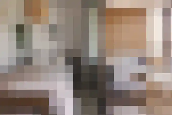 Haparandadam 2 F 3 Amsterdam thumbnail 19