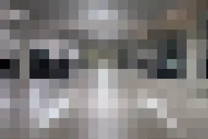 Haparandadam 2 F 3 Amsterdam thumbnail 26
