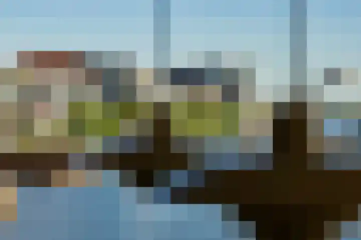 Haparandadam 2 F 3 Amsterdam thumbnail 30