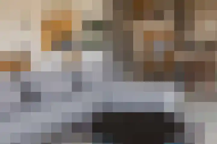 Haparandadam 2 F 3 Amsterdam thumbnail 4
