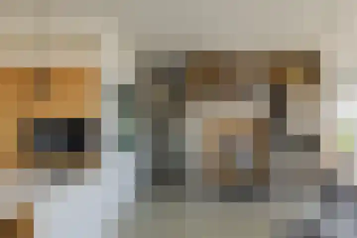 Haparandadam 2 F 3 Amsterdam thumbnail 5