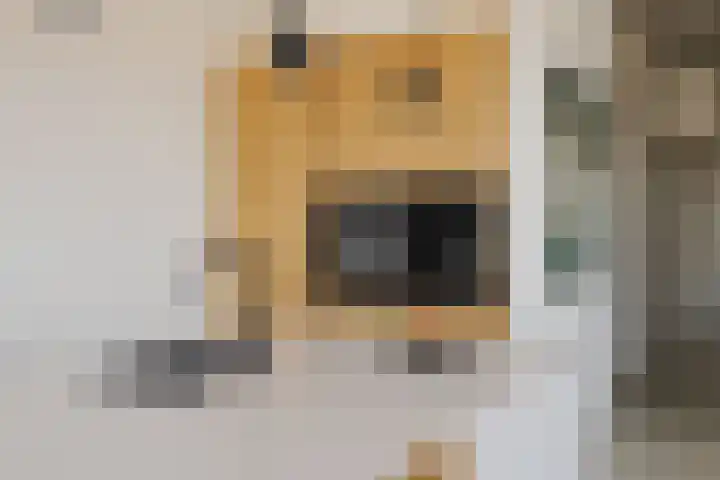 Haparandadam 2 F 3 Amsterdam thumbnail 8