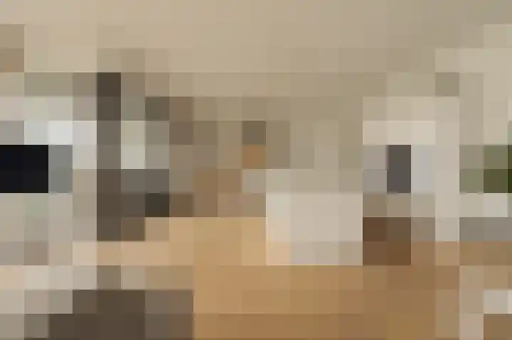 Haparandadam 2 F 7 Amsterdam thumbnail 12