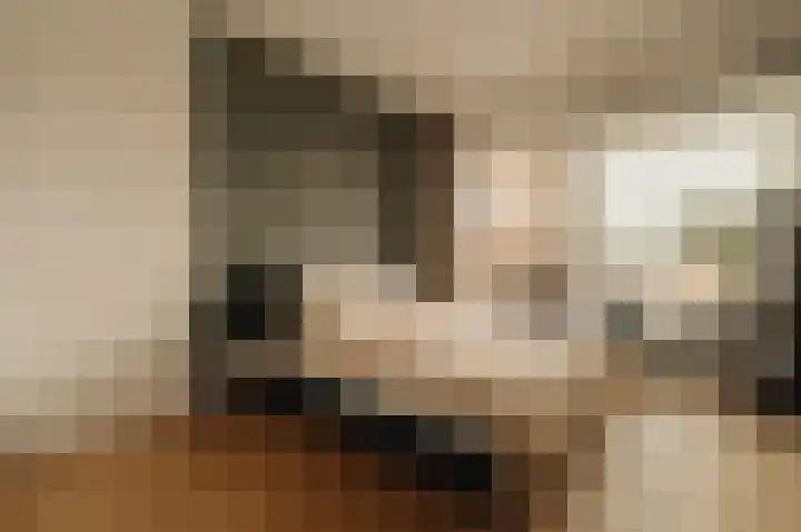 Haparandadam 2 F 7 Amsterdam thumbnail 16