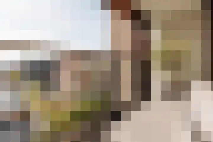 Haparandadam 2 F 7 Amsterdam thumbnail 17