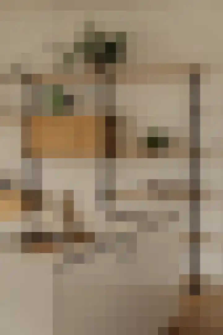 Haparandadam 2 F 7 Amsterdam thumbnail 8
