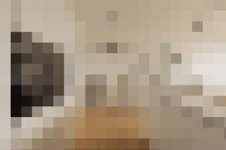 Haparandadam 2 F 7 Amsterdam thumbnail 9