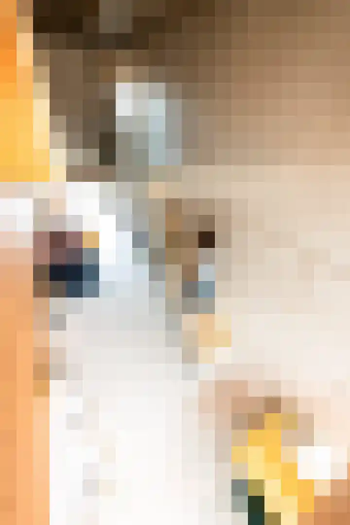 Haparandaweg 1000 Amsterdam thumbnail 24