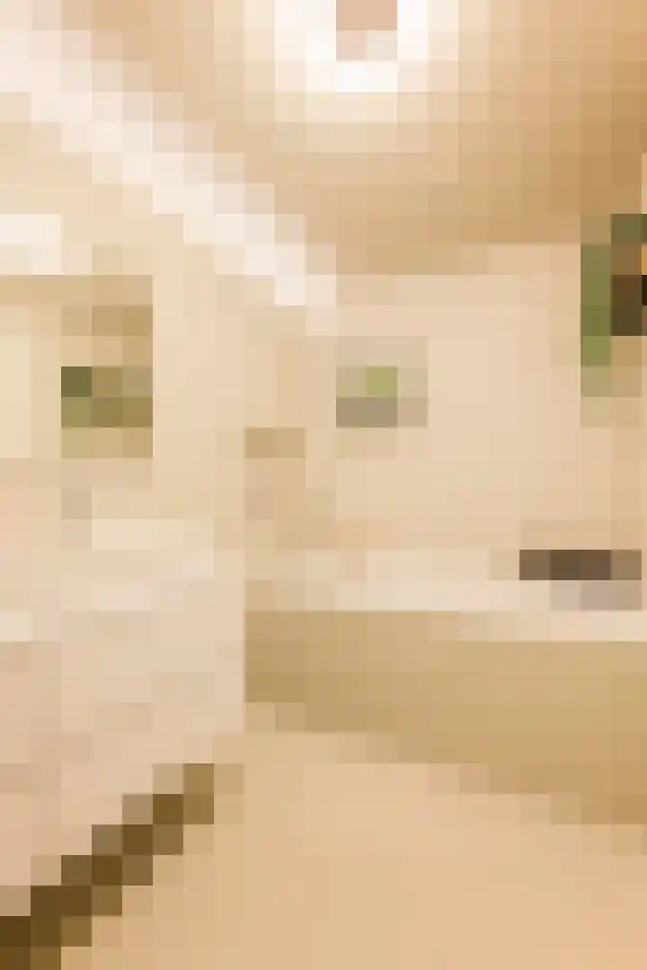 Haparandaweg 1000 Amsterdam thumbnail 33