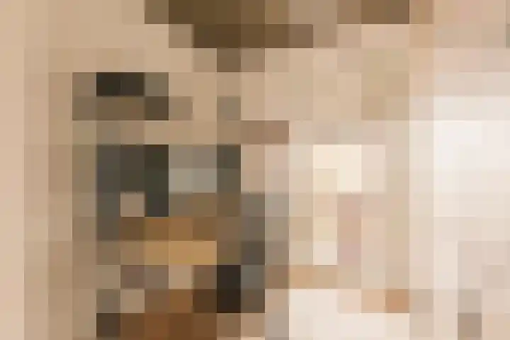 Haparandaweg 1000 Amsterdam thumbnail 35