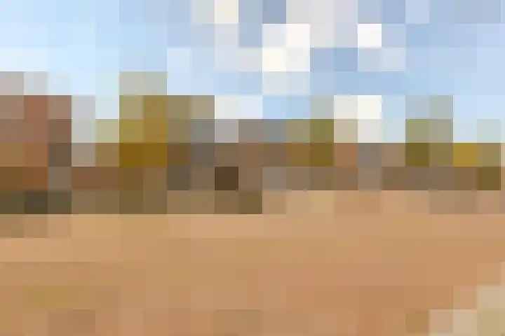 Haparandaweg 1000 Amsterdam thumbnail 43