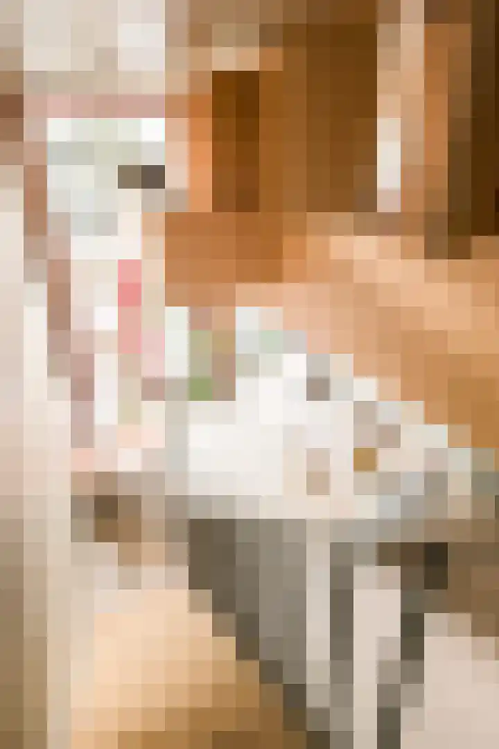 Haparandaweg 1000 Amsterdam thumbnail 6