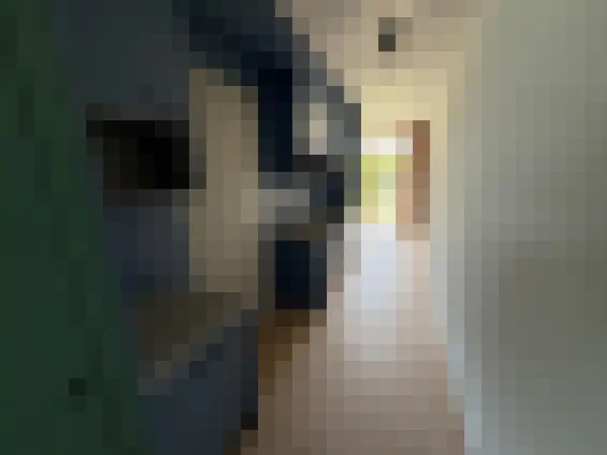 Haparandaweg 178 Amsterdam thumbnail 6