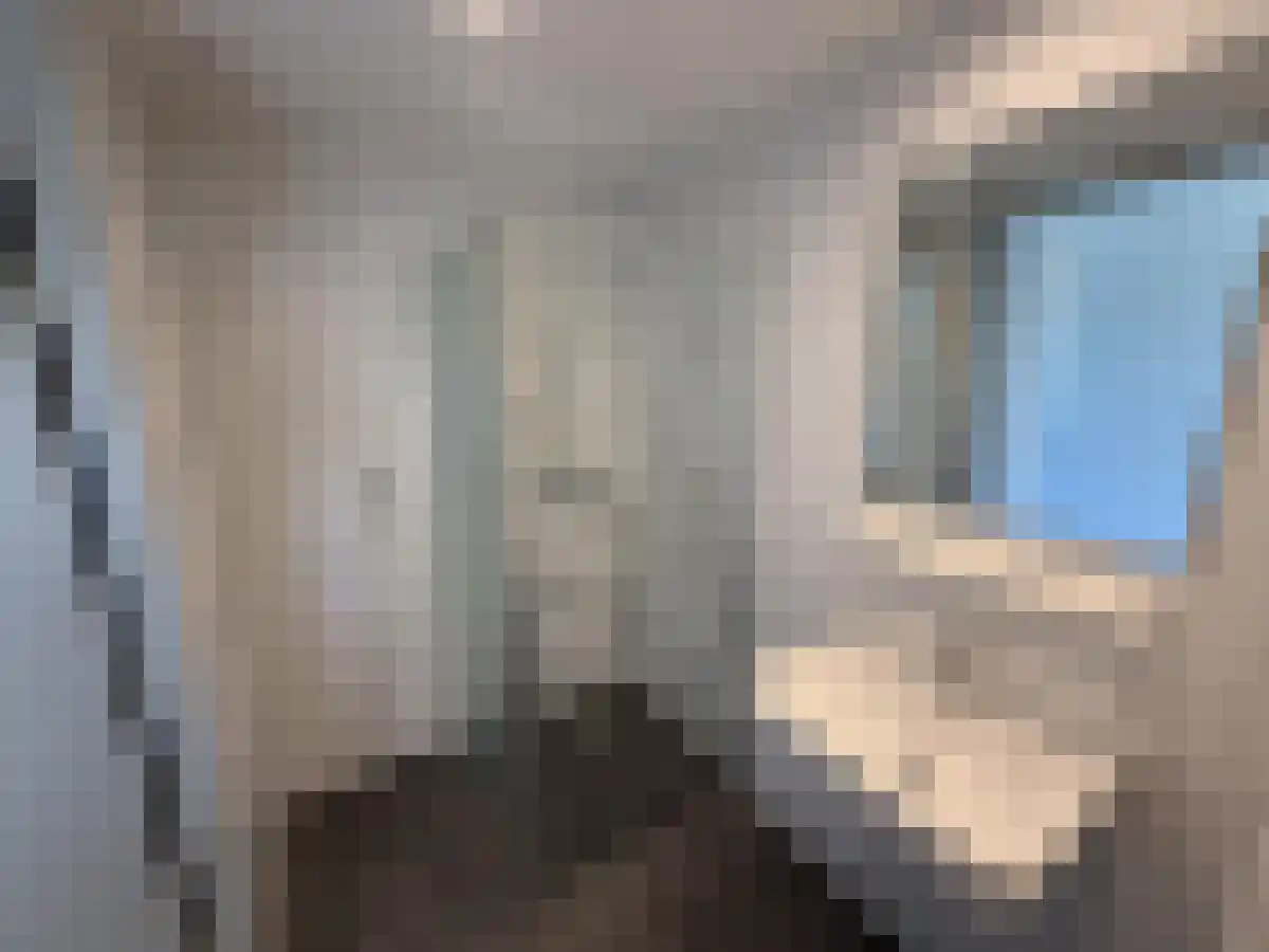 Haparandaweg 182 Amsterdam thumbnail 5