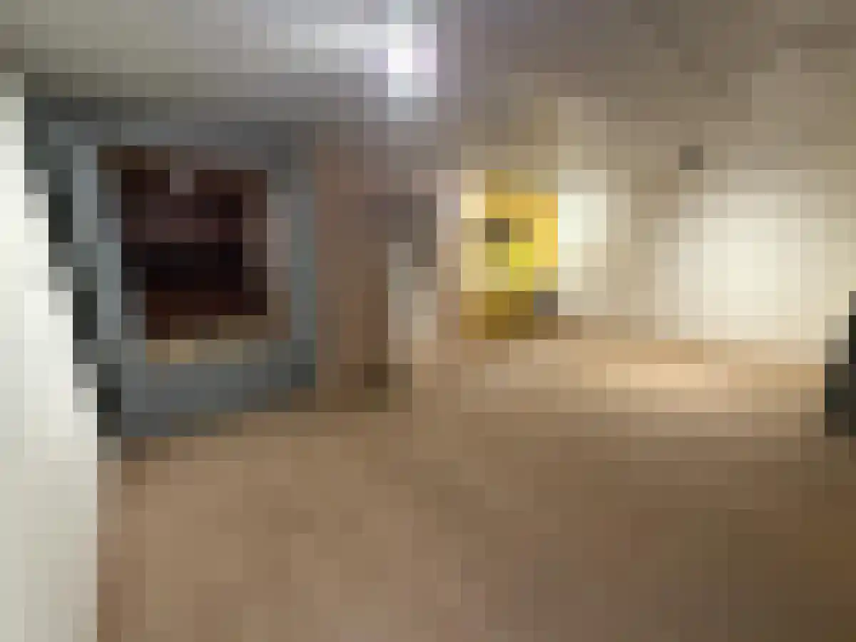 Haparandaweg 44 Amsterdam thumbnail 4