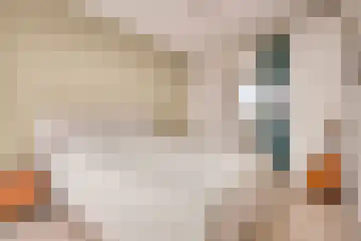 Haparandaweg 636 Amsterdam thumbnail 18