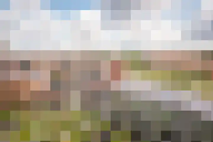 Haparandaweg 636 Amsterdam thumbnail 8