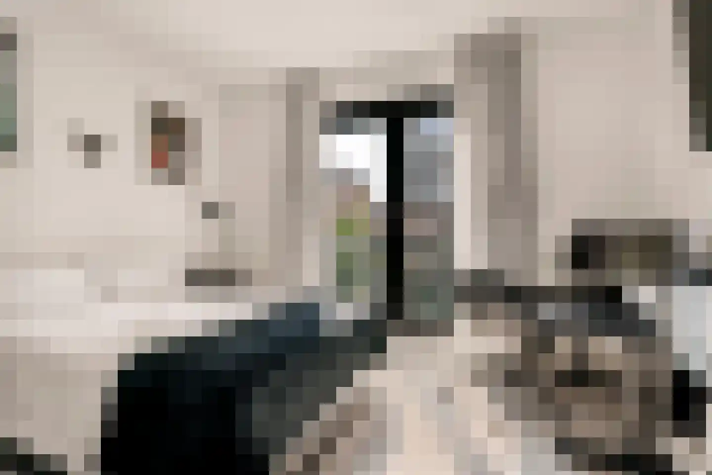 Haparandaweg 654 Amsterdam thumbnail 18