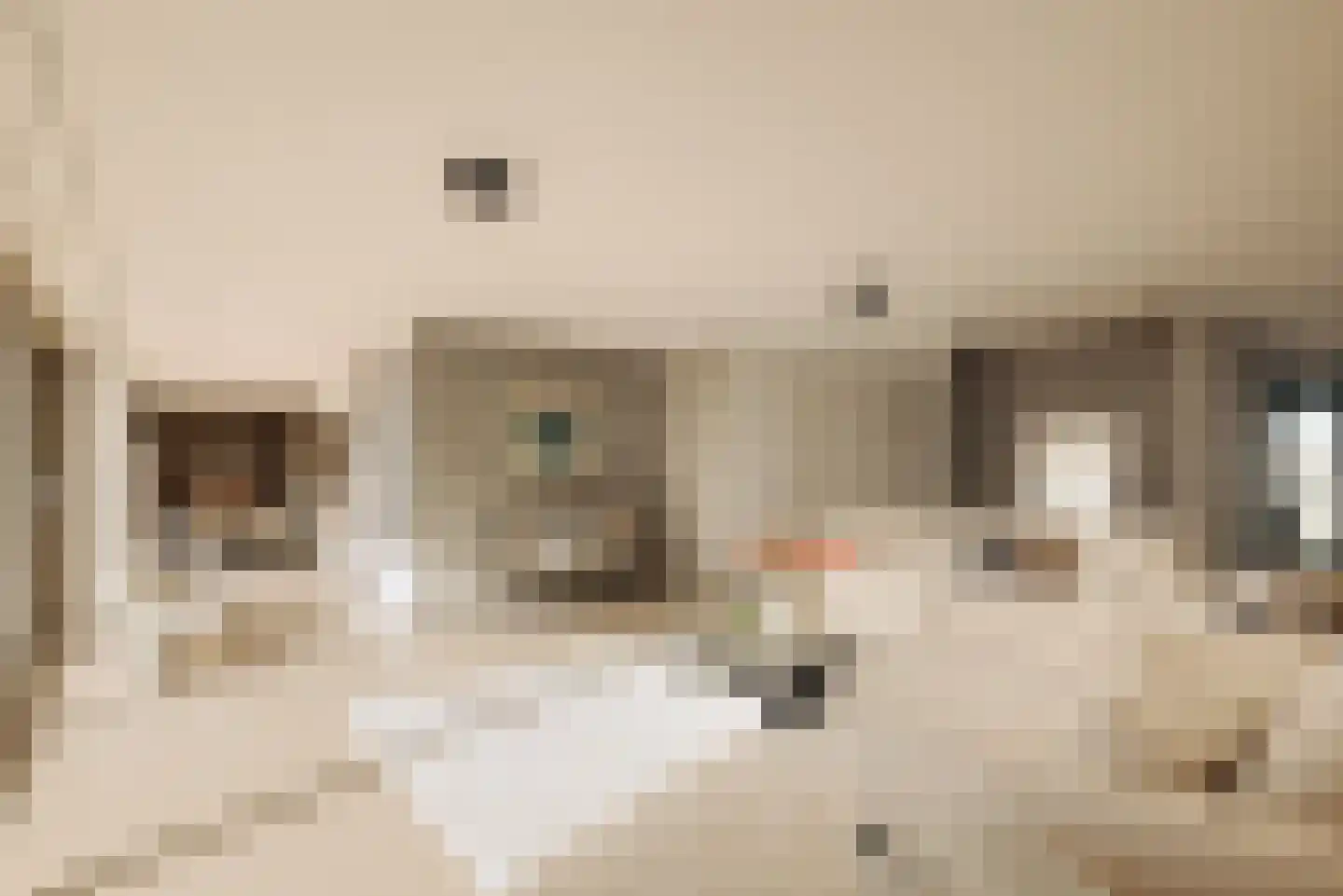 Haparandaweg 676 Amsterdam thumbnail 10