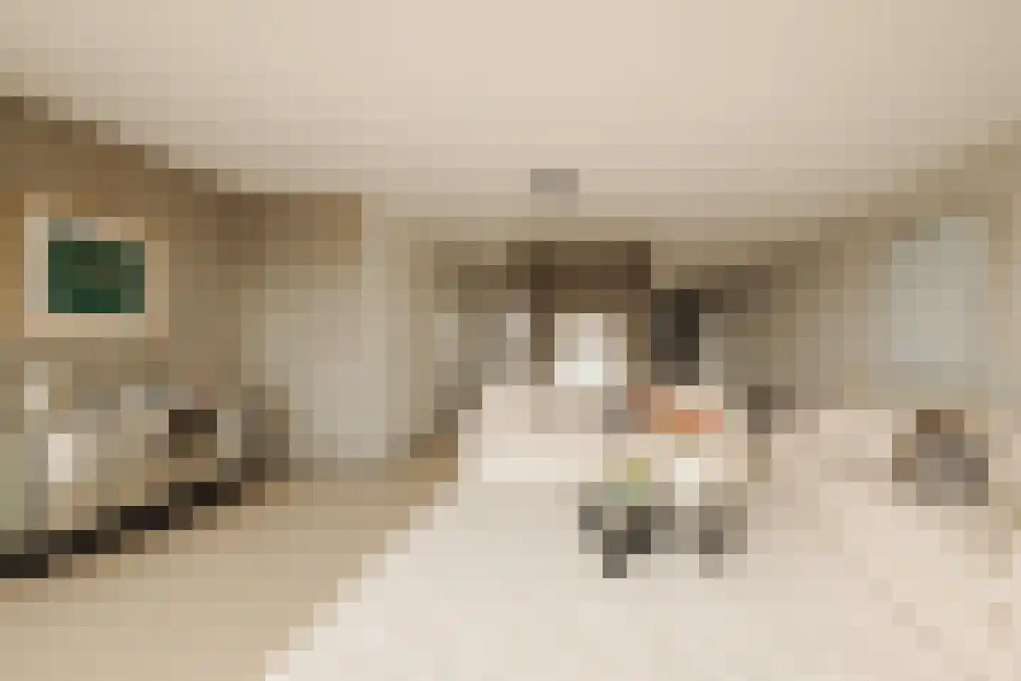 Haparandaweg 676 Amsterdam thumbnail 11