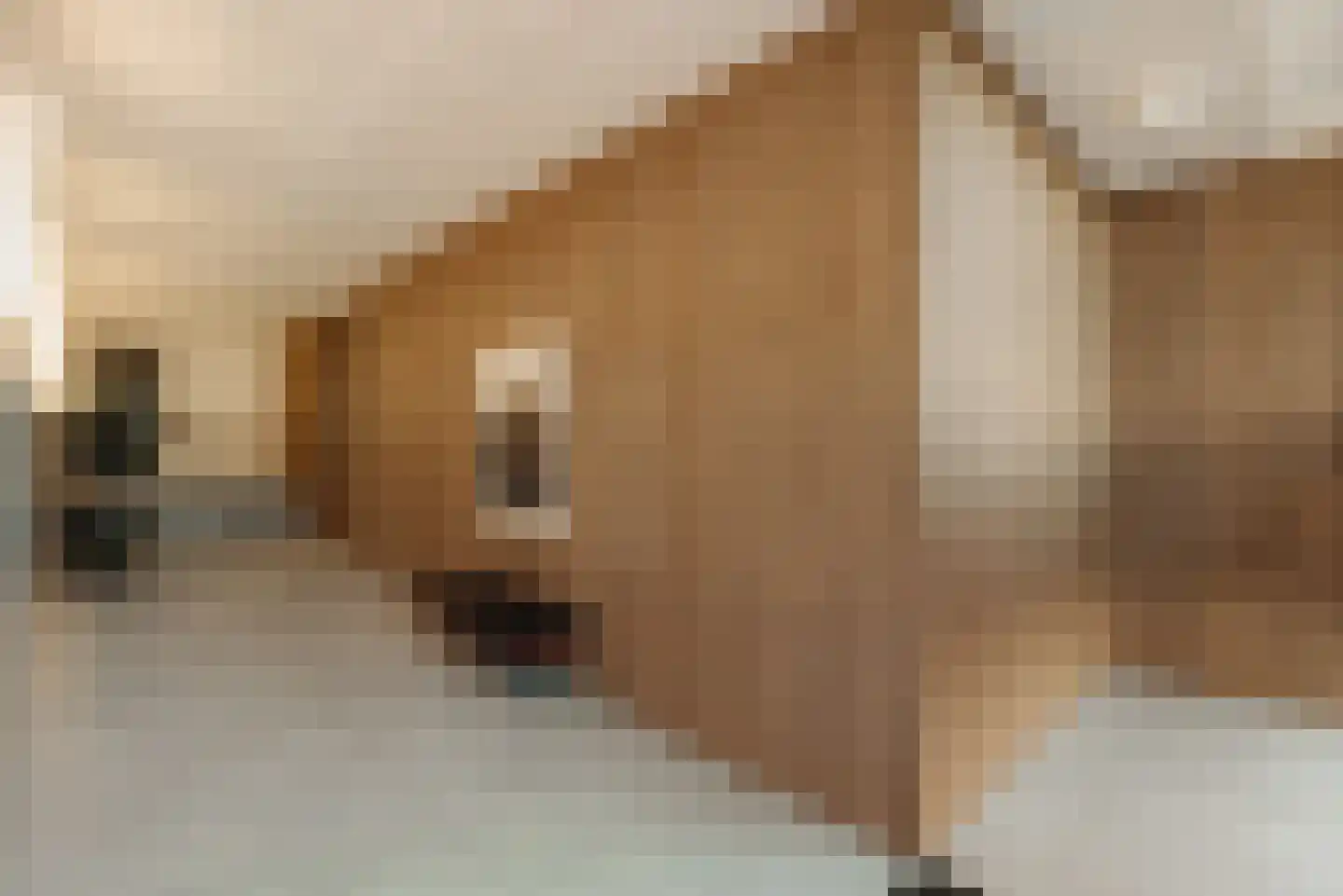 Haparandaweg 676 Amsterdam thumbnail 8