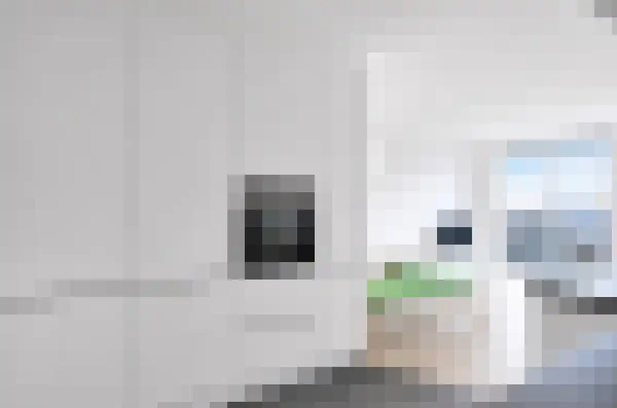 Haparandaweg 736 Amsterdam thumbnail 5