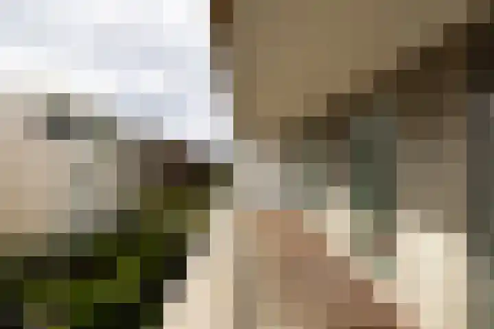 Haparandaweg 764 Amsterdam thumbnail 10