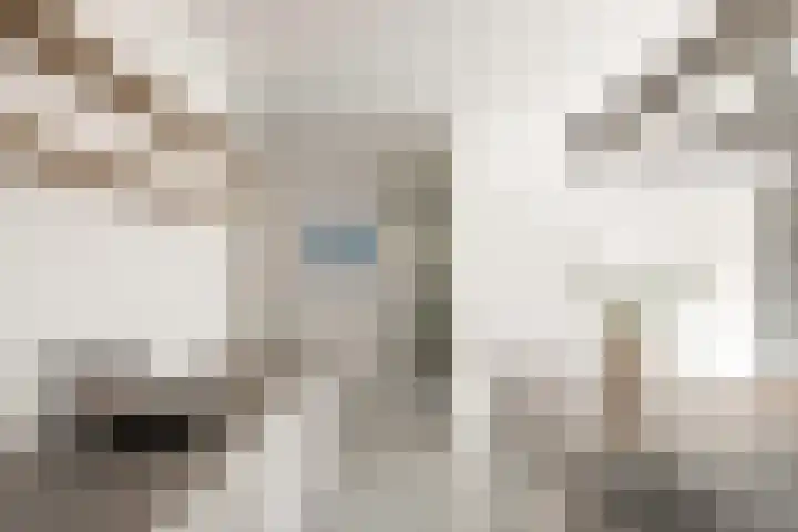 Haparandaweg 764 Amsterdam thumbnail 13