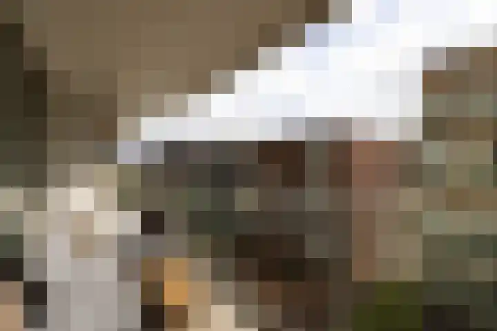 Haparandaweg 764 Amsterdam thumbnail 9