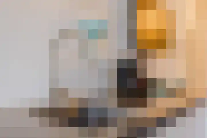 Haparandaweg 812 Amsterdam thumbnail 12