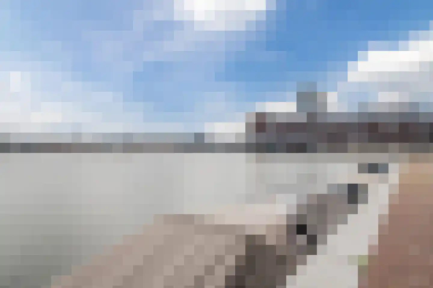 Haparandaweg 812 Amsterdam thumbnail 22
