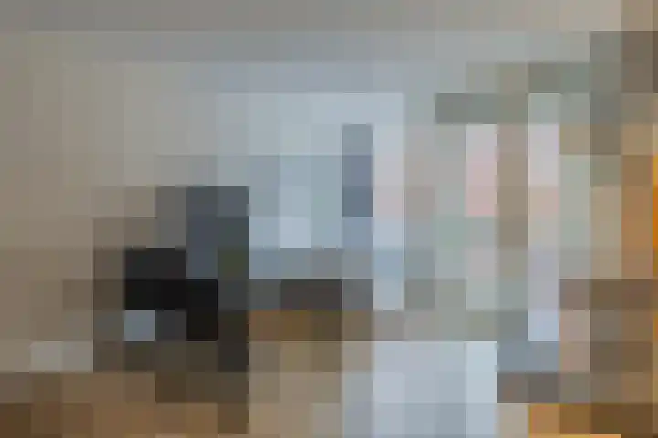 Haparandaweg 812 Amsterdam thumbnail 9
