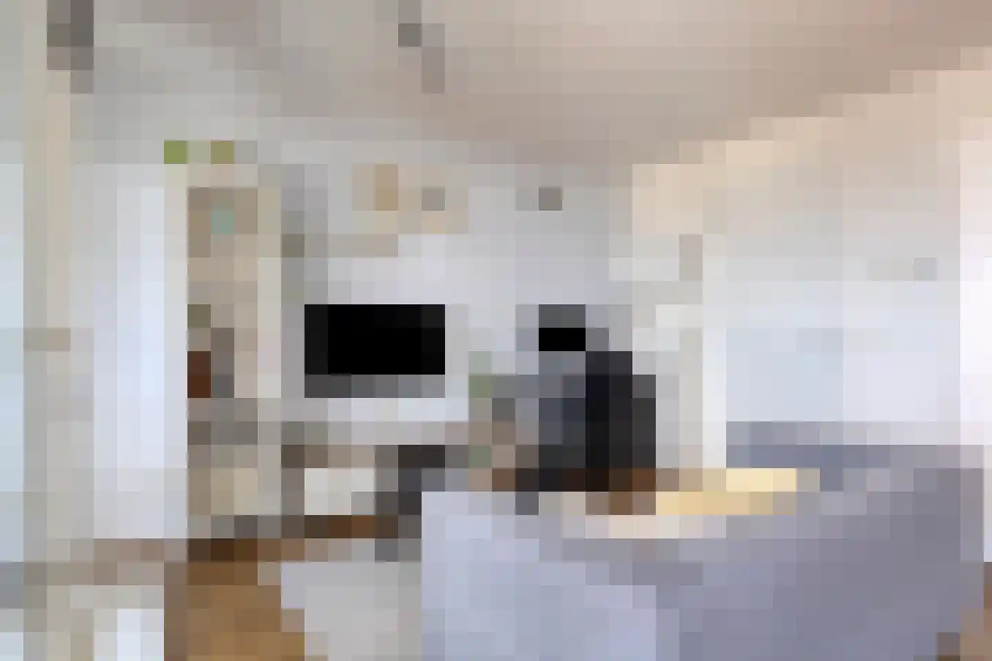 Haparandaweg 864 Amsterdam thumbnail 4