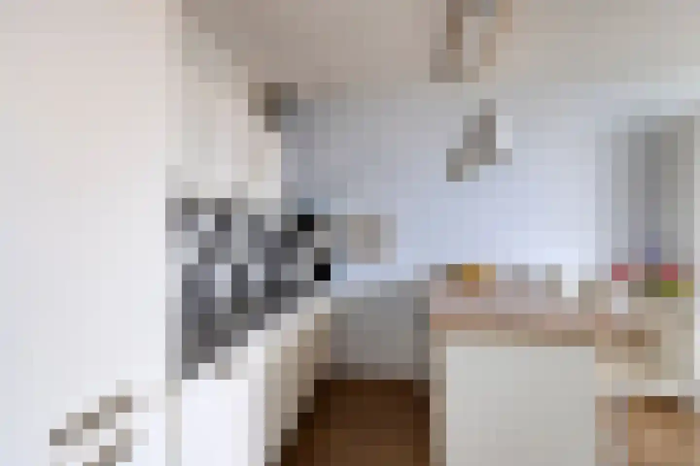 Haparandaweg 864 Amsterdam thumbnail 7