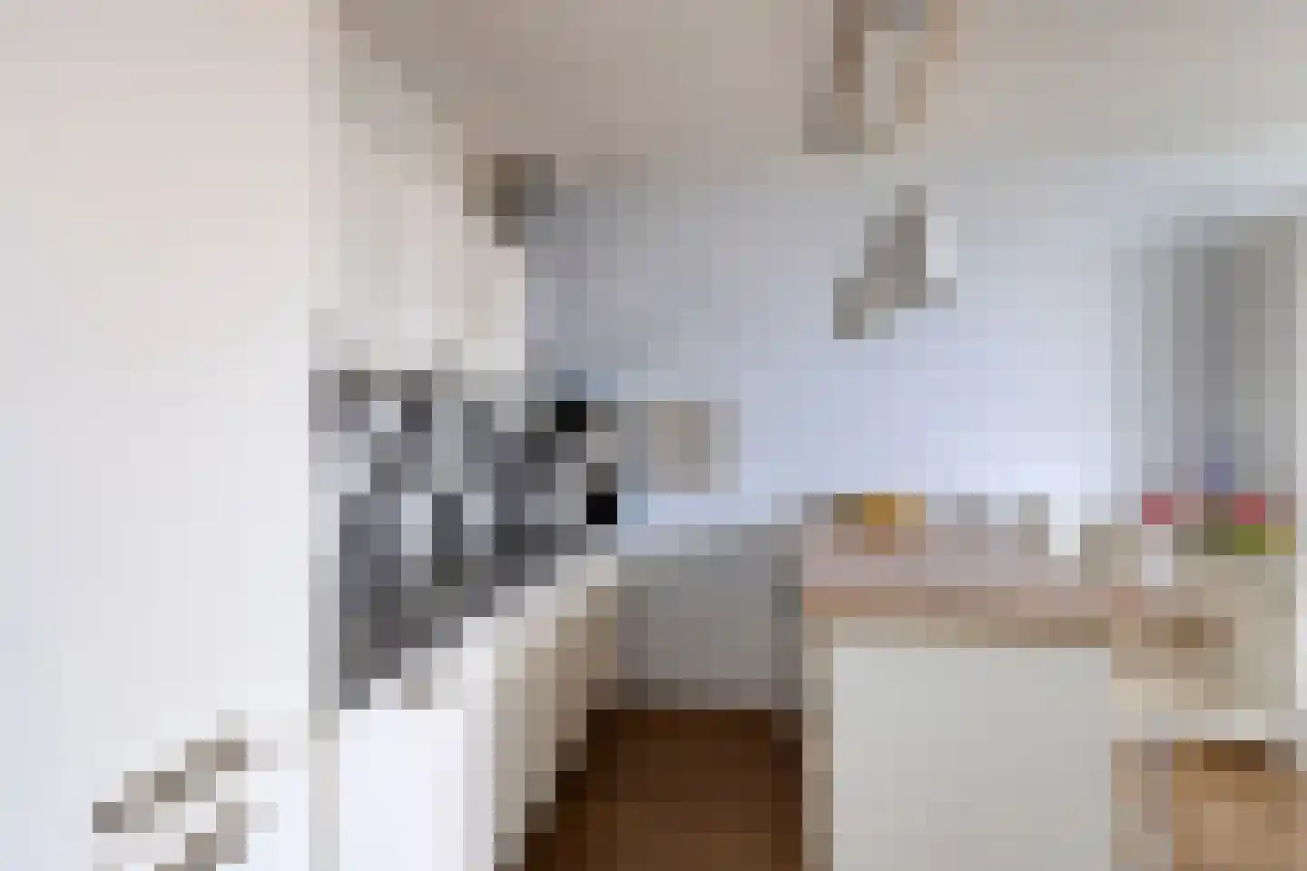 Haparandaweg 864 Amsterdam thumbnail 7