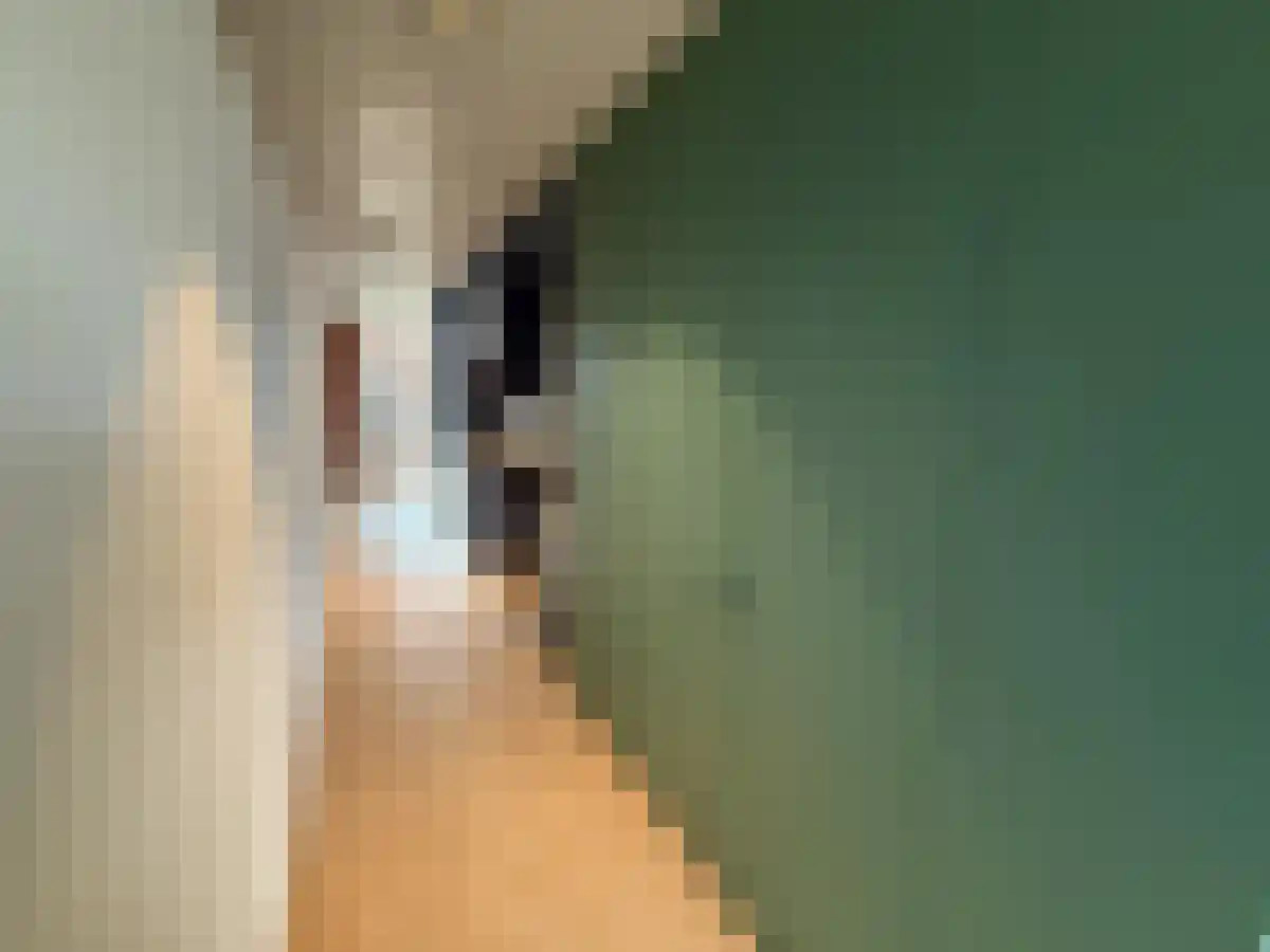 Haparandaweg 88 Amsterdam thumbnail 4