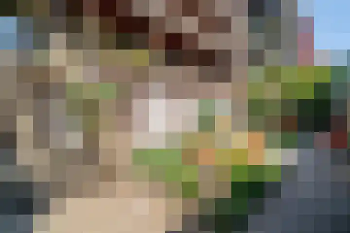 Haparandaweg 912 E Amsterdam thumbnail 24